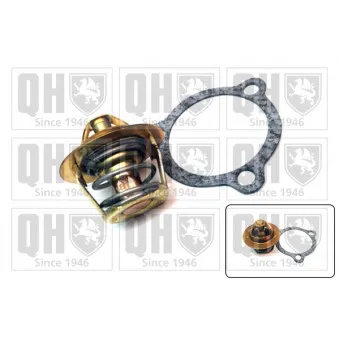Thermostat d'eau QUINTON HAZELL QTH336K