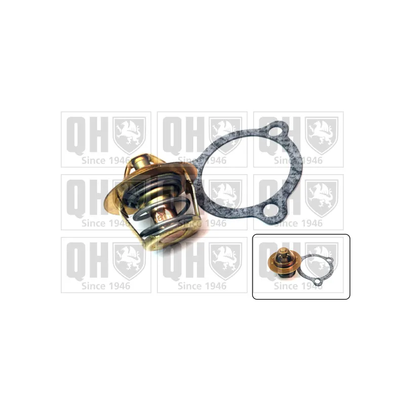 Thermostat d'eau QUINTON HAZELL QTH336K
