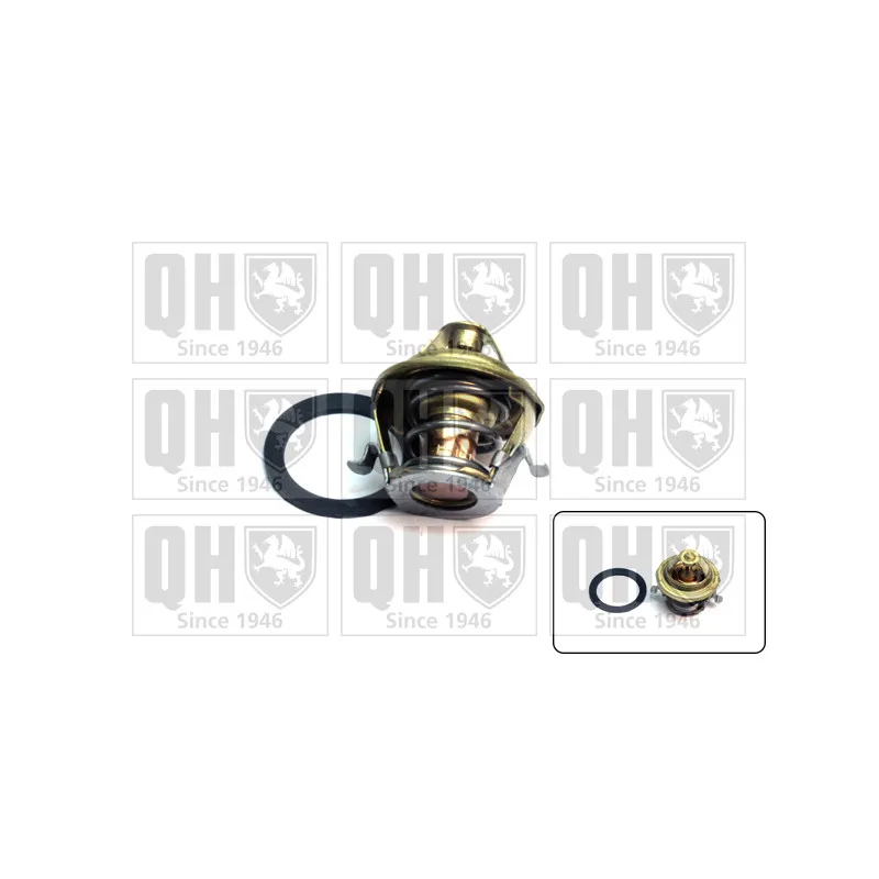 Thermostat d'eau QUINTON HAZELL QTH339