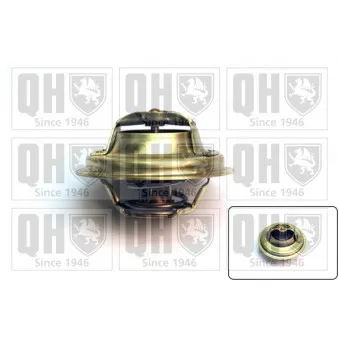 Thermostat d'eau QUINTON HAZELL QTH341