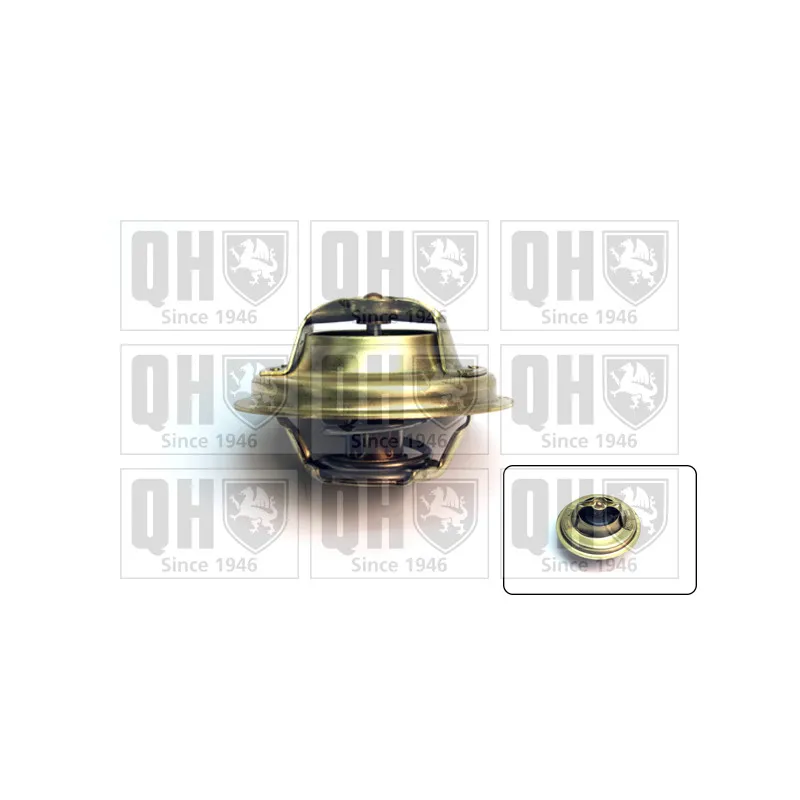 Thermostat d'eau QUINTON HAZELL QTH341