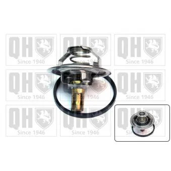 Thermostat d'eau QUINTON HAZELL QTH342