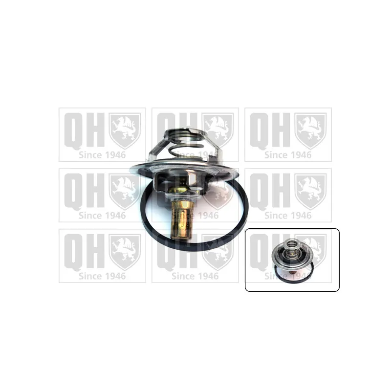 Thermostat d'eau QUINTON HAZELL QTH342