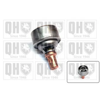 Thermostat d'eau QUINTON HAZELL QTH344