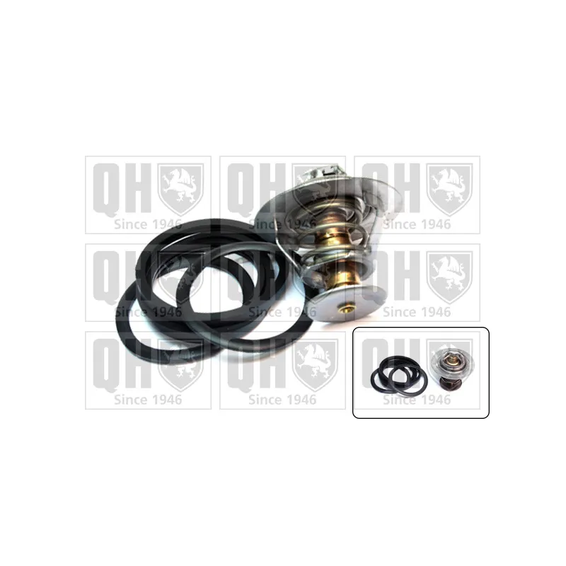Thermostat d'eau QUINTON HAZELL QTH345K