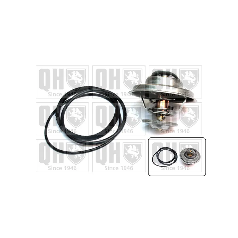 Thermostat d'eau QUINTON HAZELL QTH348K