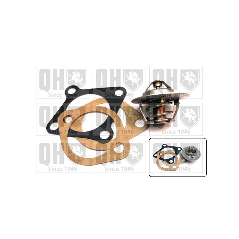 Thermostat d'eau QUINTON HAZELL QTH350K