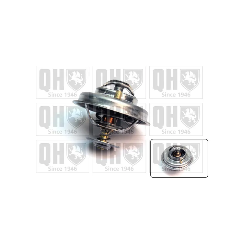 Thermostat d'eau QUINTON HAZELL QTH352