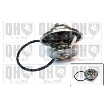 Thermostat d'eau QUINTON HAZELL QTH353K