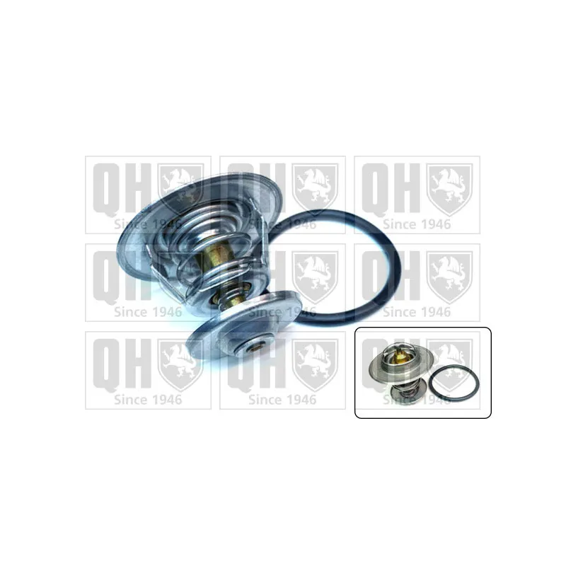 Thermostat d'eau QUINTON HAZELL QTH354K
