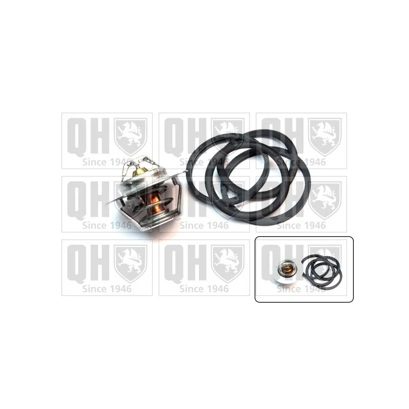 Thermostat d'eau QUINTON HAZELL QTH355K