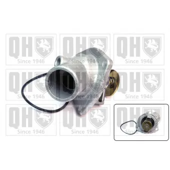 Thermostat d'eau QUINTON HAZELL