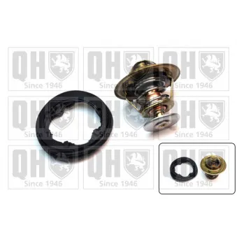 Thermostat d'eau QUINTON HAZELL QTH366K