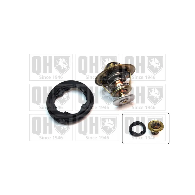 Thermostat d'eau QUINTON HAZELL QTH366K