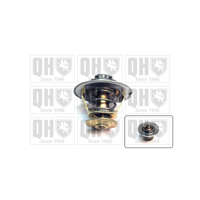 Thermostat d'eau QUINTON HAZELL QTH368