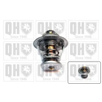 Thermostat d'eau QUINTON HAZELL QTH370