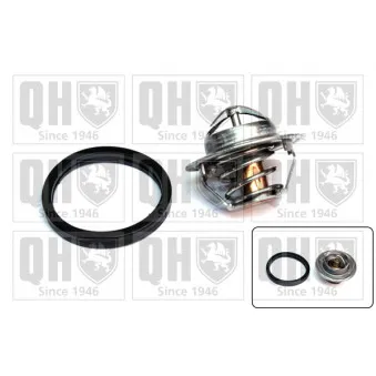 Thermostat d'eau QUINTON HAZELL QTH371K