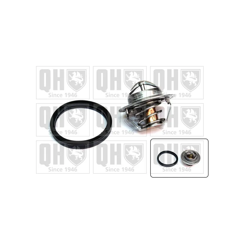 Thermostat d'eau QUINTON HAZELL QTH371K