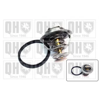 Thermostat d'eau QUINTON HAZELL QTH372K
