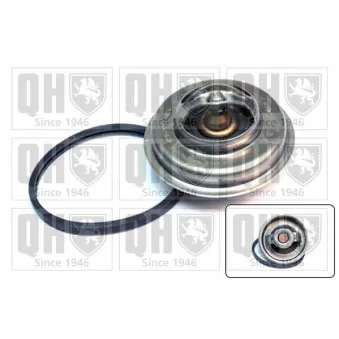 Thermostat d'eau QUINTON HAZELL QTH375K