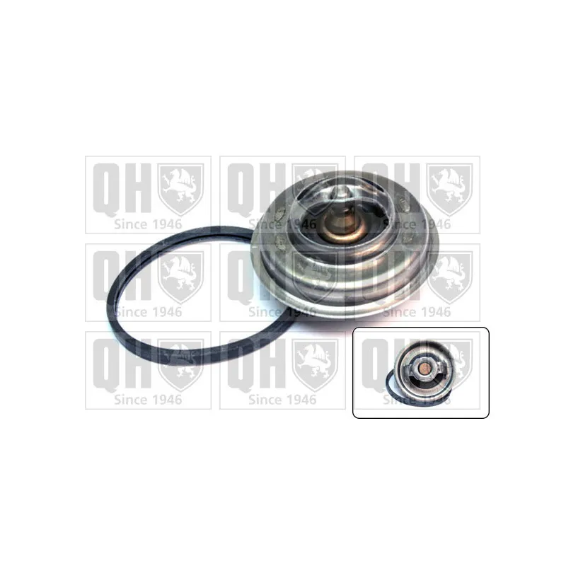 Thermostat d'eau QUINTON HAZELL QTH375K