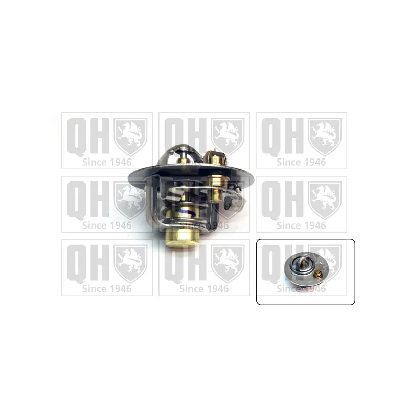 Thermostat d'eau QUINTON HAZELL QTH378