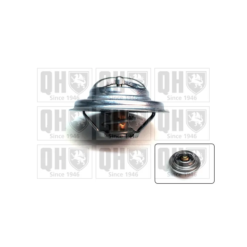 Thermostat d'eau QUINTON HAZELL QTH386