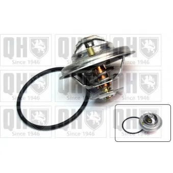 Thermostat d'eau QUINTON HAZELL QTH393K