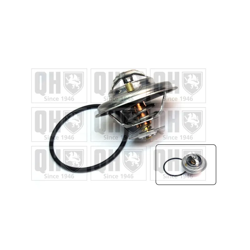 Thermostat d'eau QUINTON HAZELL QTH393K