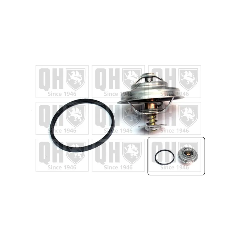 Thermostat d'eau QUINTON HAZELL QTH394K