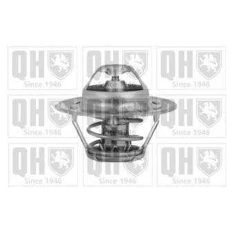 Thermostat d'eau QUINTON HAZELL QTH396
