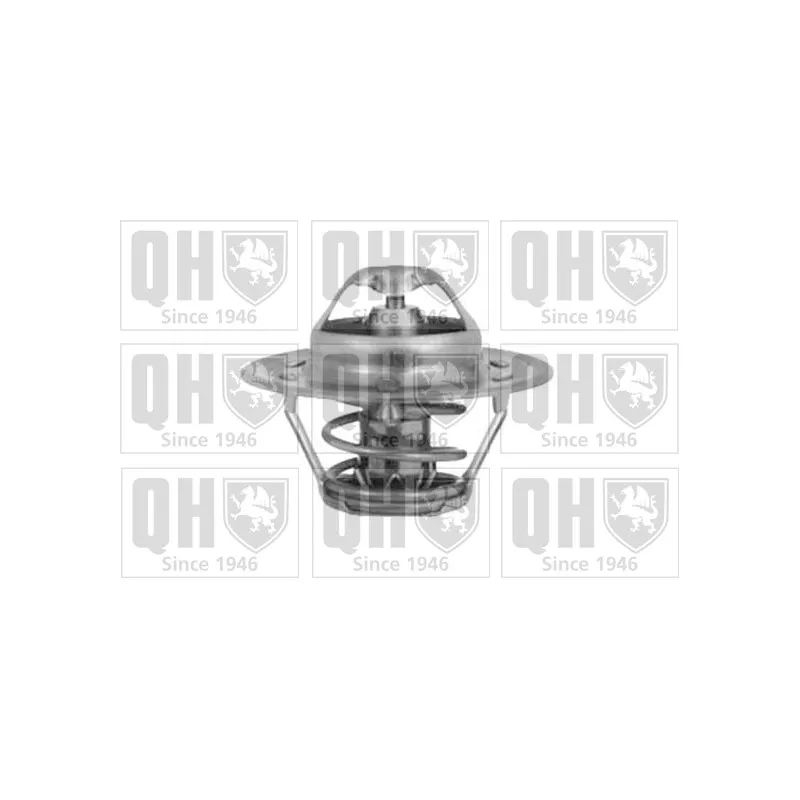 Thermostat d'eau QUINTON HAZELL QTH396