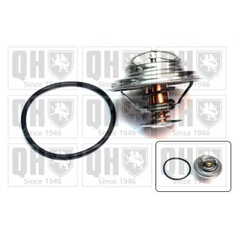 Thermostat d'eau QUINTON HAZELL QTH400K