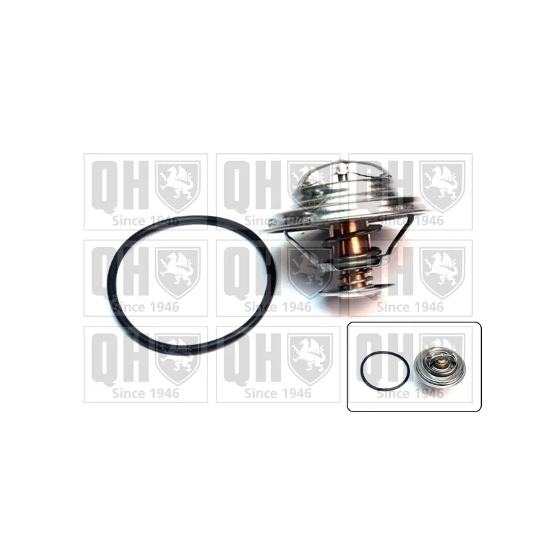 Thermostat d'eau QUINTON HAZELL QTH400K