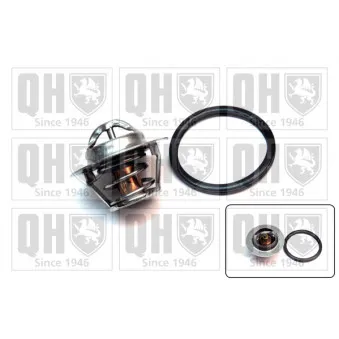 Thermostat d'eau QUINTON HAZELL QTH404K