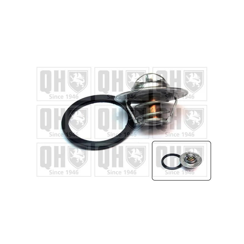 Thermostat d'eau QUINTON HAZELL QTH405K