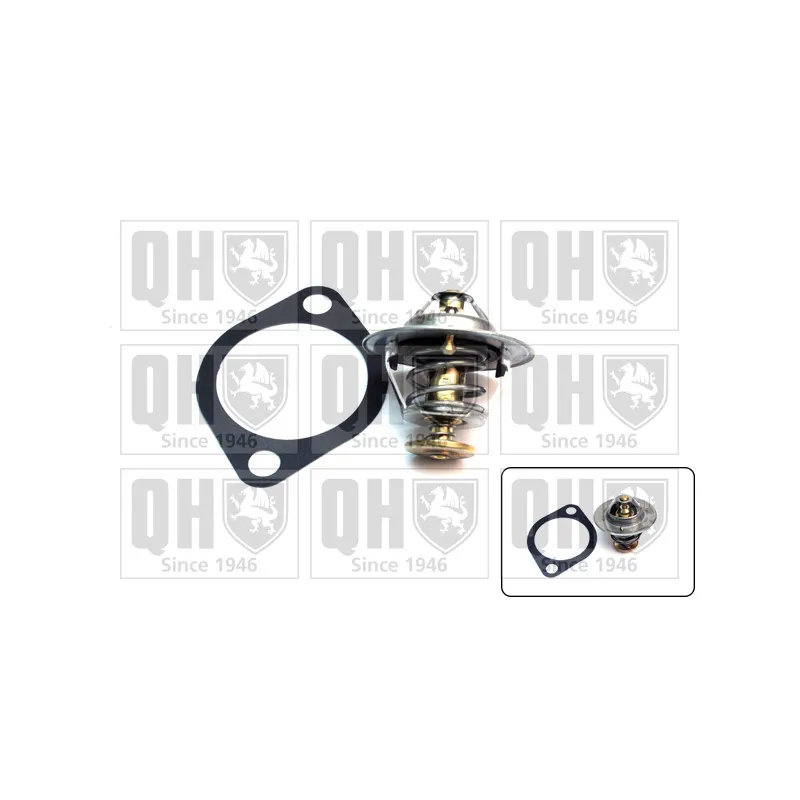 Thermostat d'eau QUINTON HAZELL QTH411K