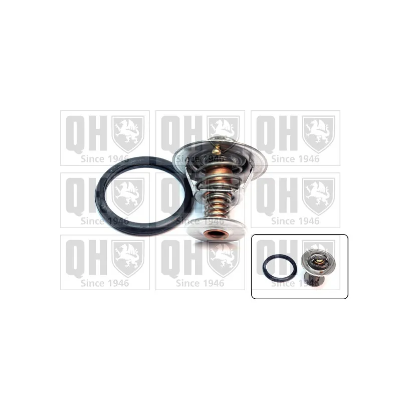 Thermostat d'eau QUINTON HAZELL QTH415K