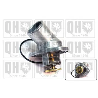 Thermostat d'eau QUINTON HAZELL