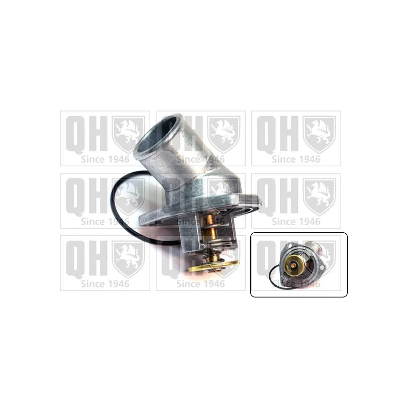 Thermostat d'eau QUINTON HAZELL QTH418K