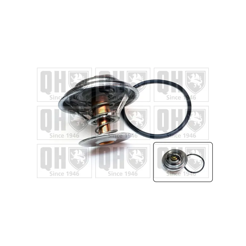 Thermostat d'eau QUINTON HAZELL QTH421K