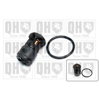 Thermostat d'eau QUINTON HAZELL QTH422K