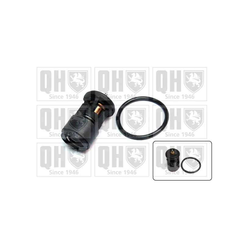 Thermostat d'eau QUINTON HAZELL QTH422K