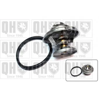 Thermostat d'eau QUINTON HAZELL QTH423K