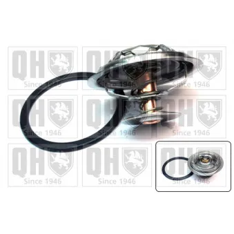 Thermostat d'eau QUINTON HAZELL QTH424