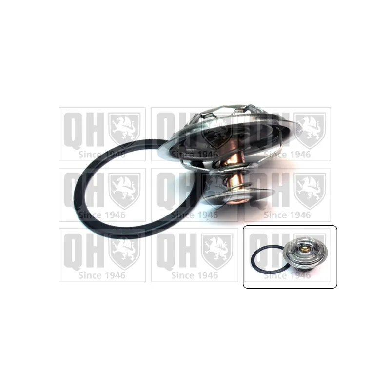 Thermostat d'eau QUINTON HAZELL QTH424