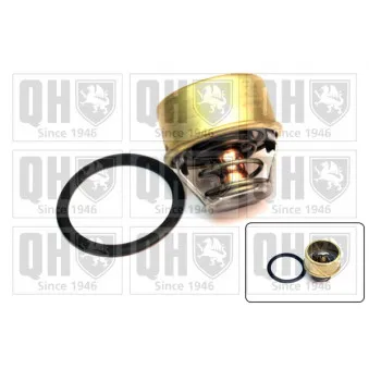 Thermostat d'eau QUINTON HAZELL QTH431K