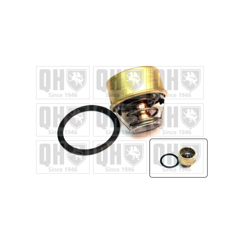 Thermostat d'eau QUINTON HAZELL QTH431K