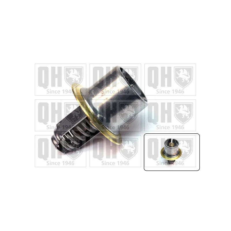 Thermostat d'eau QUINTON HAZELL QTH433K