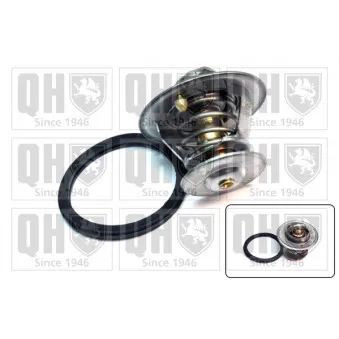 Thermostat d'eau QUINTON HAZELL QTH436K